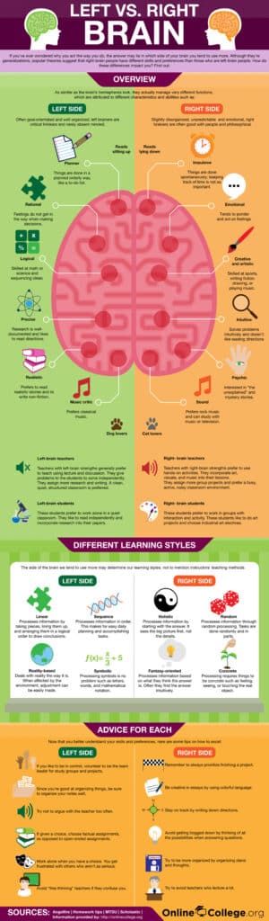 Left and Right Brain left brain, right brain, creative, logical, learning, trainer, training, infographic