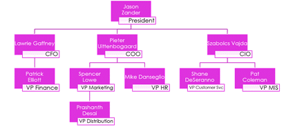 Cfo Organizational Chart