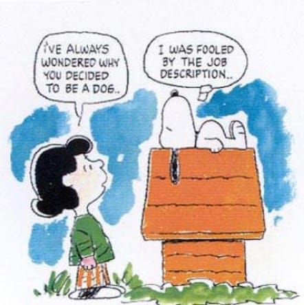 Snoopy, job, title, job title, success, employees, workplace, recruiting, employee success