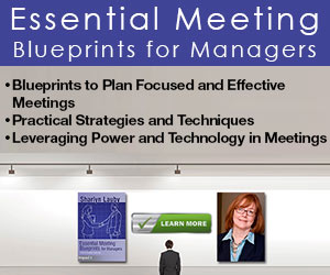 book, essential meeting blueprints, meeting, meetings, business, business meeting, information, decision