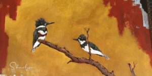 teams, organizational teams, project management, RACI, Tucana