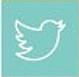 twitter, social media, learning, plan