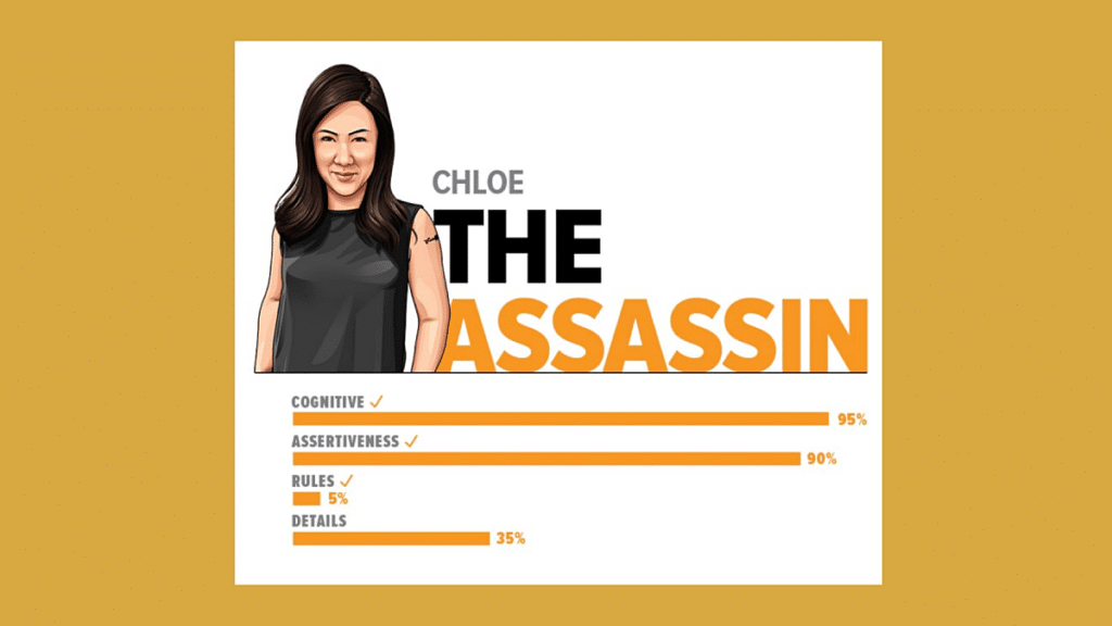 the assassin 9 faces of hr type book