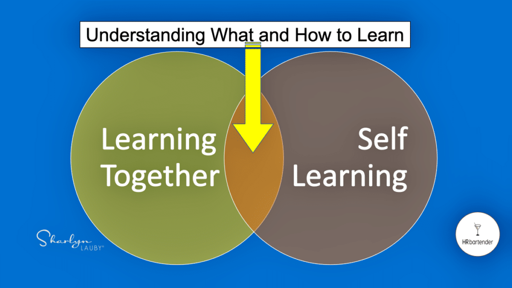 venn diagram showing career development through understand what and how to learn