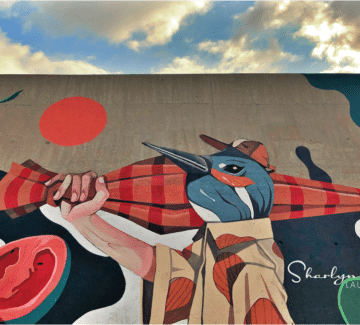 Employees: Why Would You Leave Your Organization [POLL]