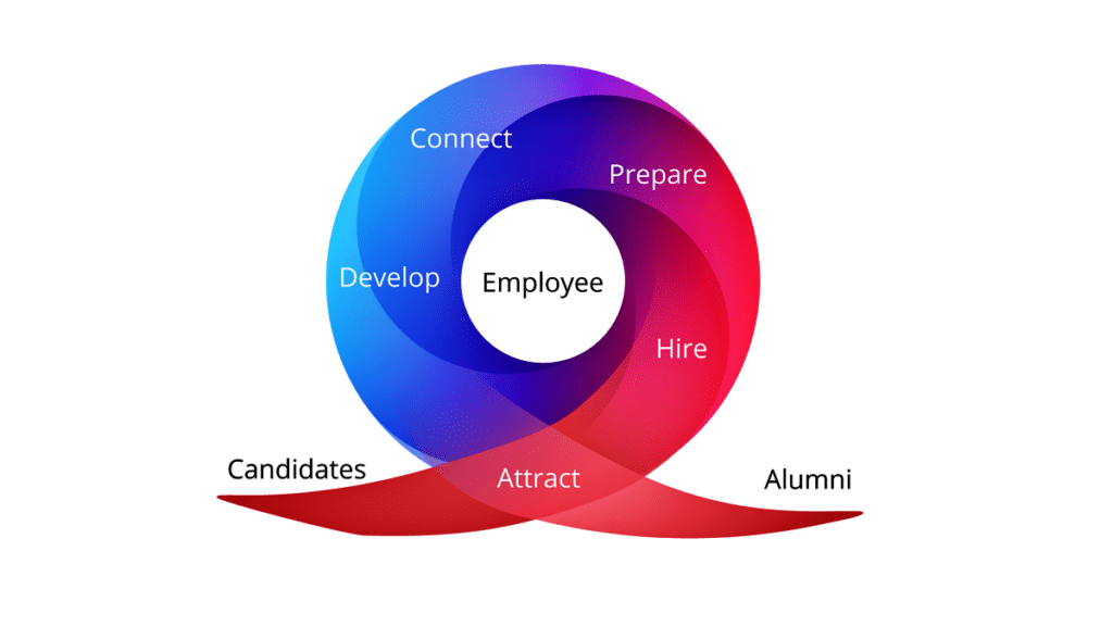 employee experience loop showing the employee lifecycle
