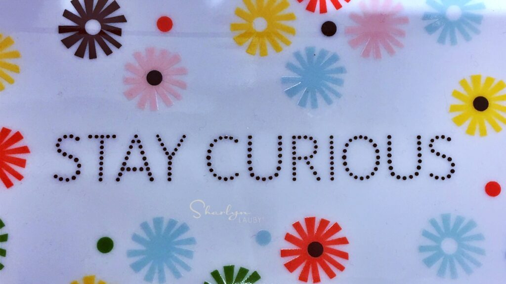 wall sign stay curious about change