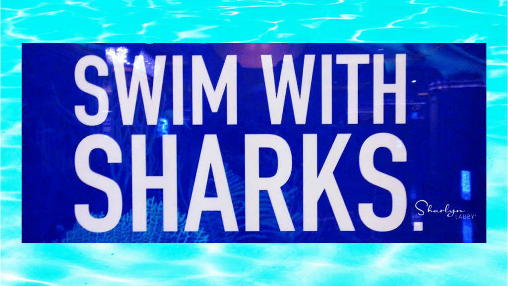 graphic sign swim with sharks describing HR Human Resources and drama
