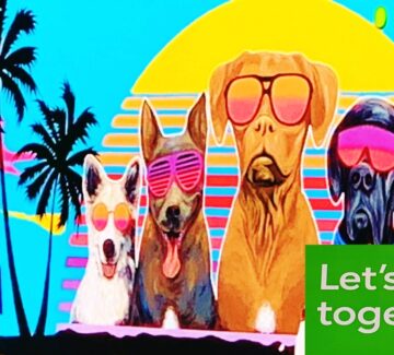 Better Teams Lead to Improved Performance