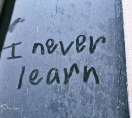 Employee Training: 4 Testing Options