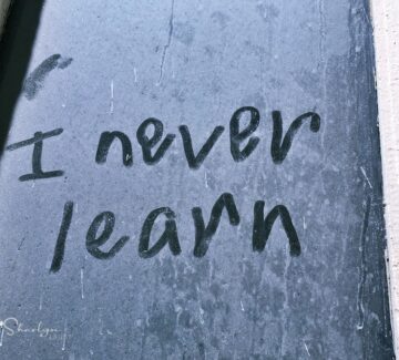 Employee Training: 4 Testing Options