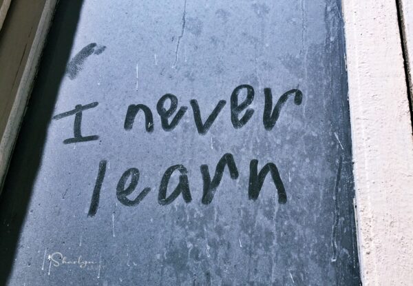 Employee Training: 4 Testing Options